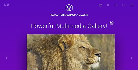 Revolution Multimedia Gallery Wordpress & Woocommerce Plugin